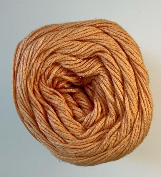 NATURA albicocca matura